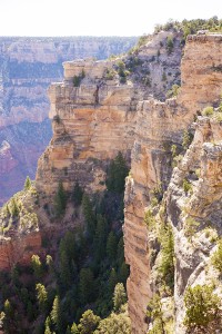 AZ engagement session | Adrienne Fletcher Photography