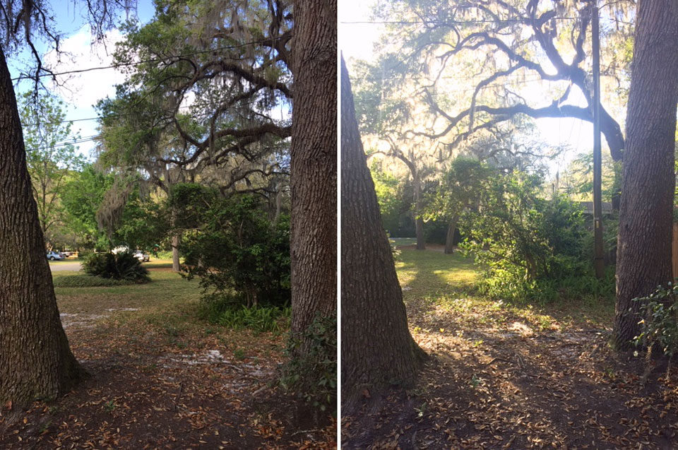 comparison of same spot in a yard two different times of day